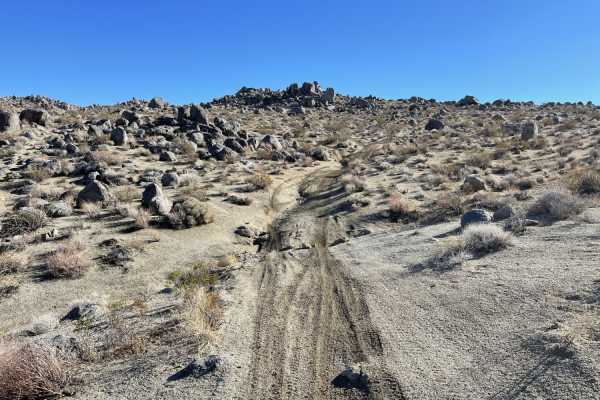 Viejo Road