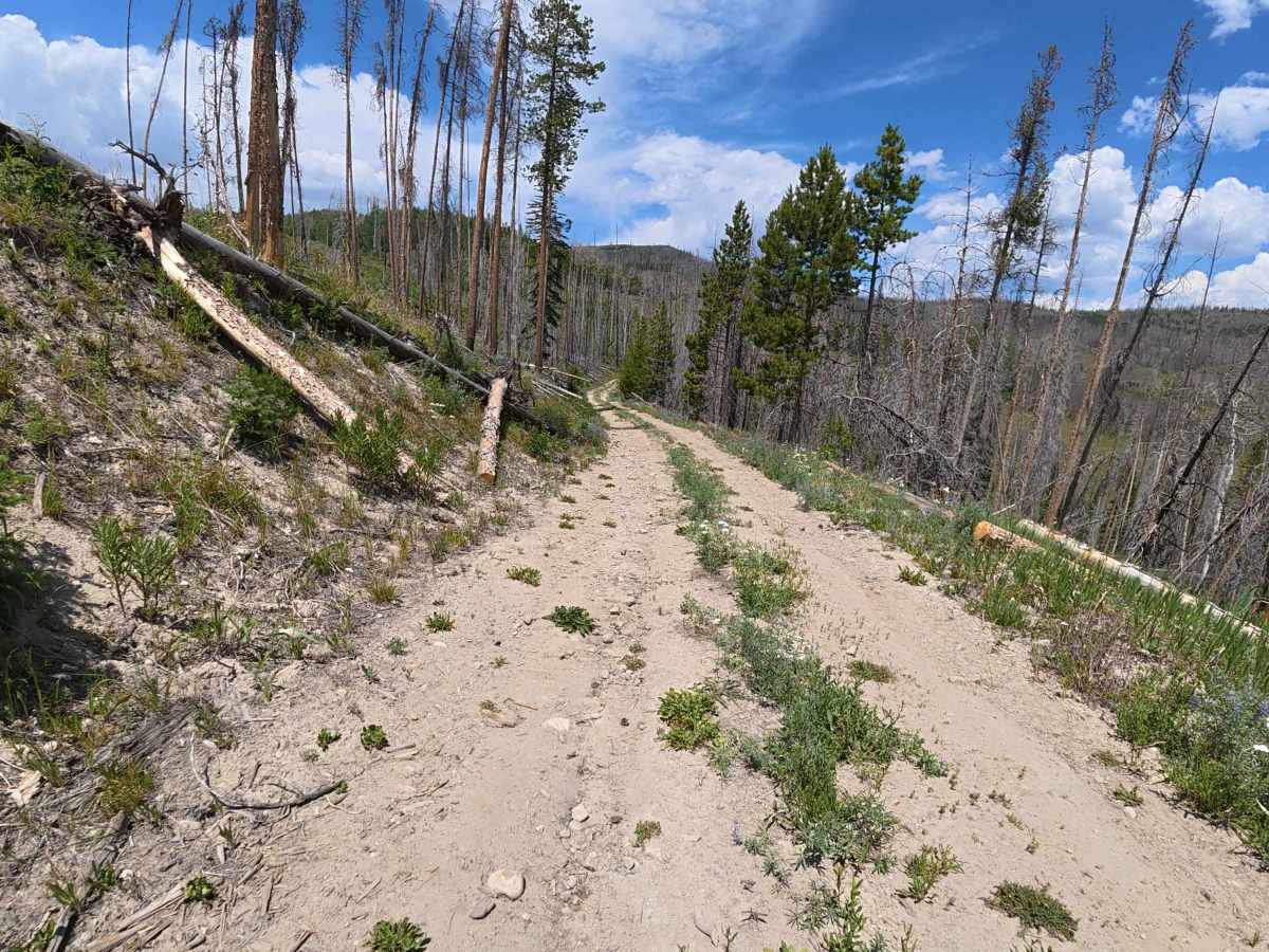 Corral Creek Unit 2 Spur D -  FS 112.6D trail photo
