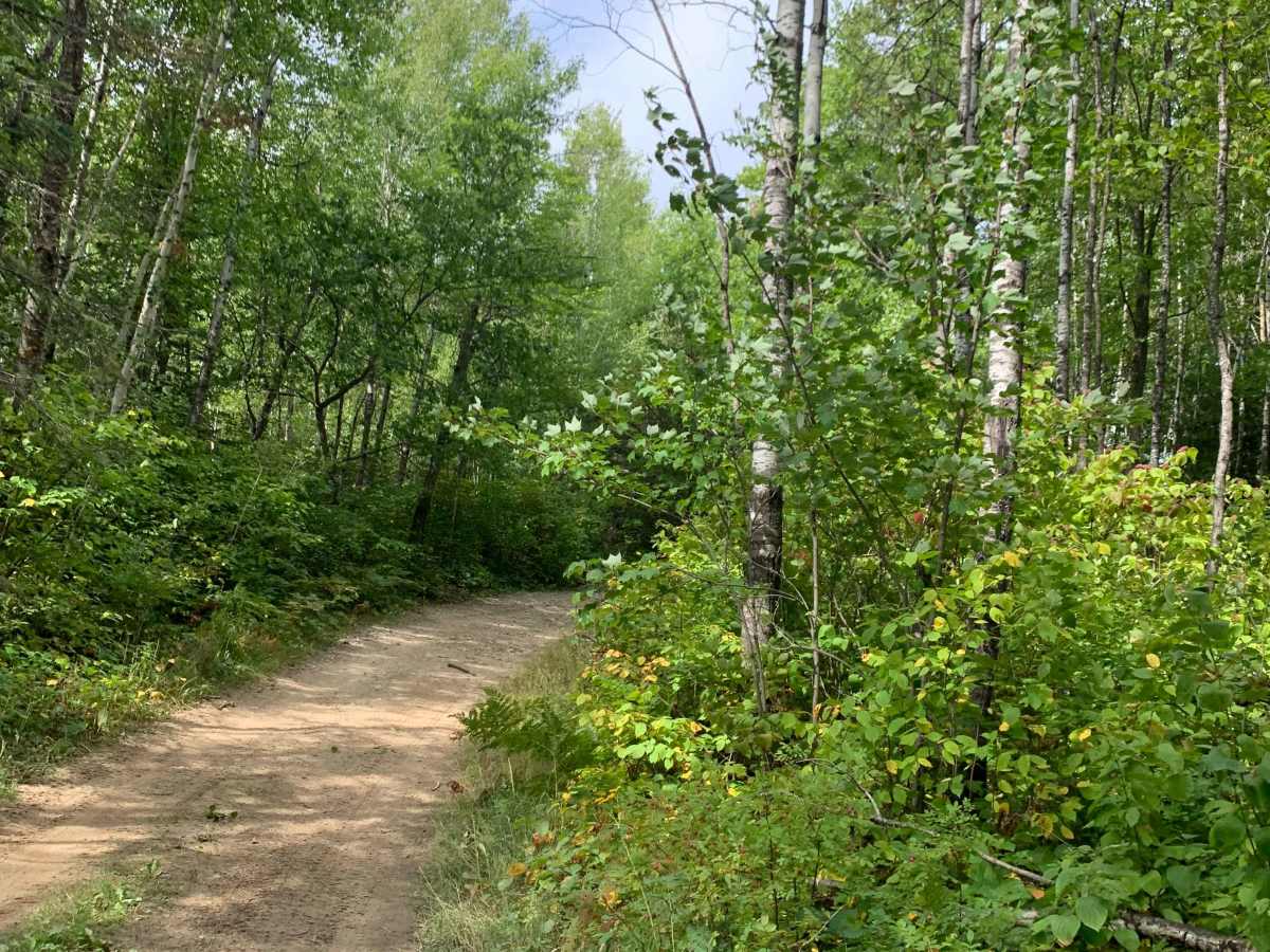 Godlevske Trail photo 5