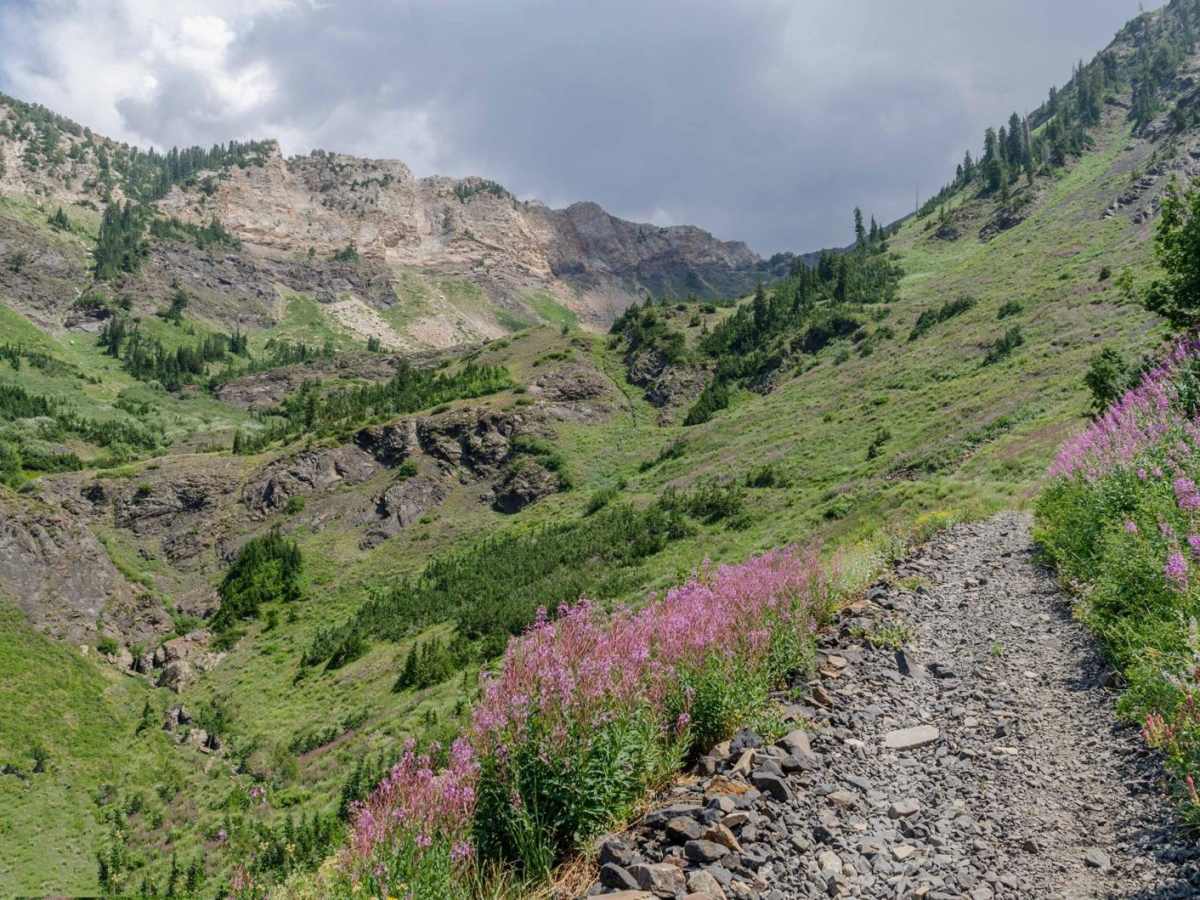 Mineral Fork trail photo