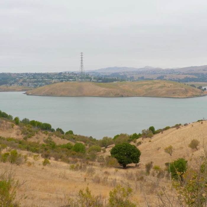 Near Carquinez Overlook Loop