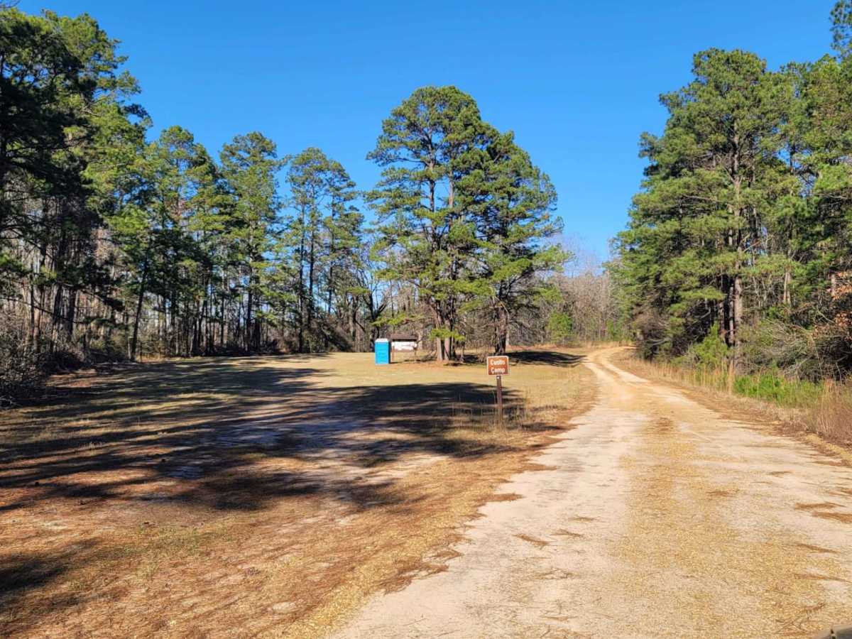 Kisatchie National Forest Camp and Trail photo 6