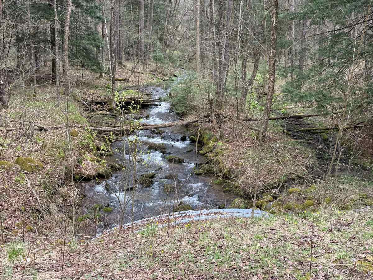North Branch Sugar Run - FS 271 photo 5