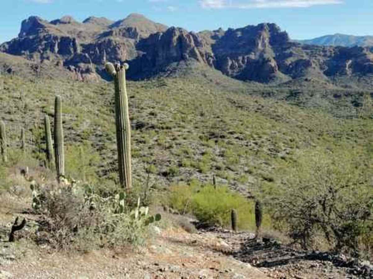 Millsite Canyon photo 3