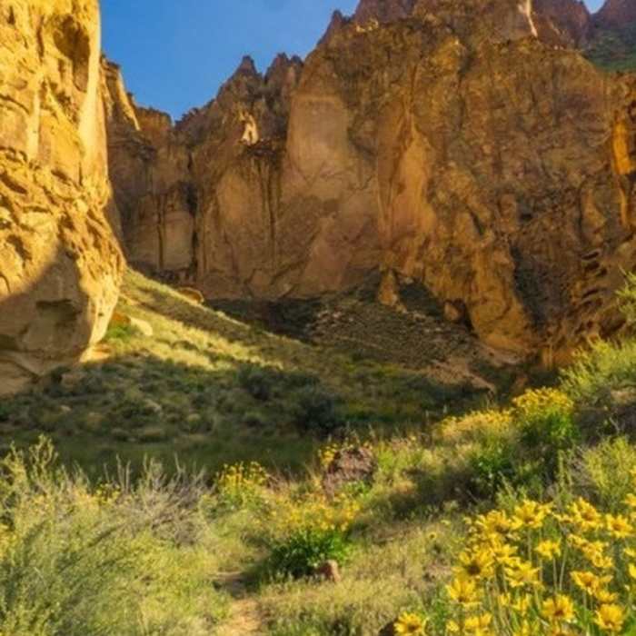 Near Timber Gulch Trail