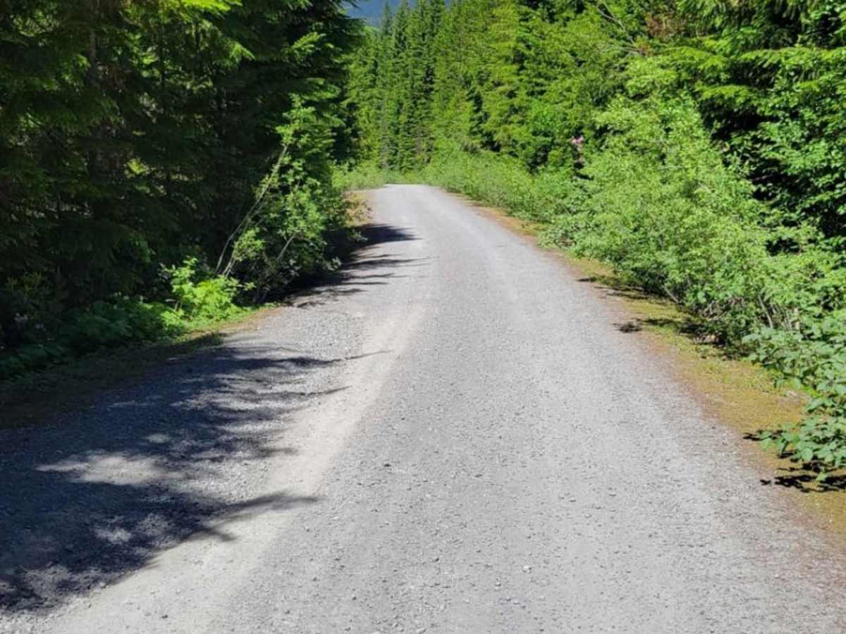 Trillium Lake Loop trail photo