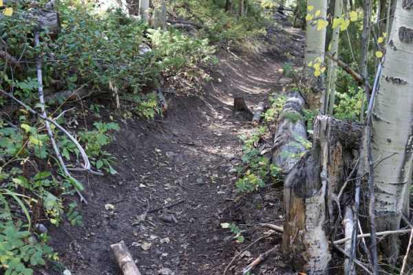 Bennett Creek 2