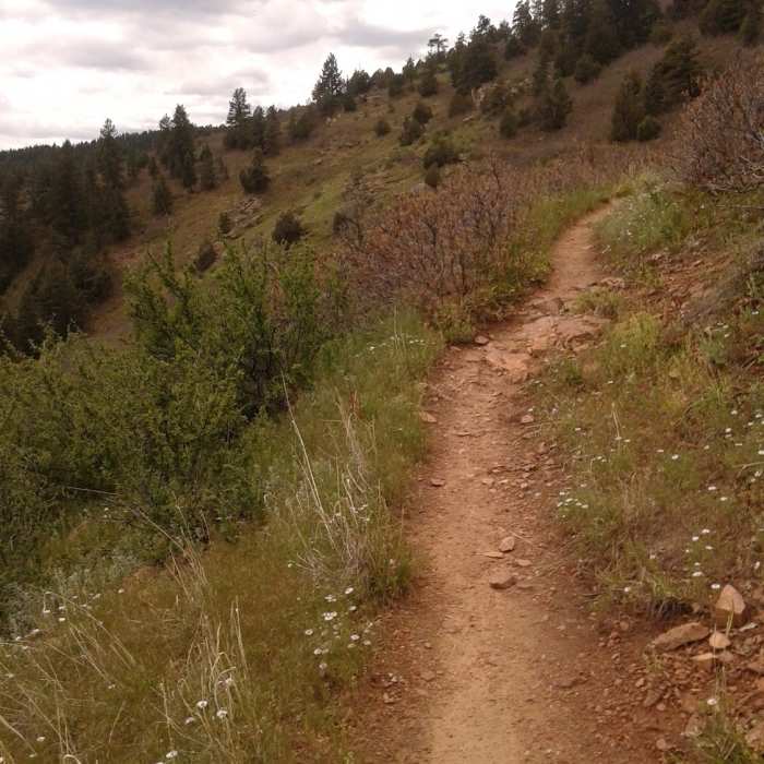 Near Red Mesa Loop