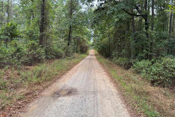 Sorghum Hollow Road