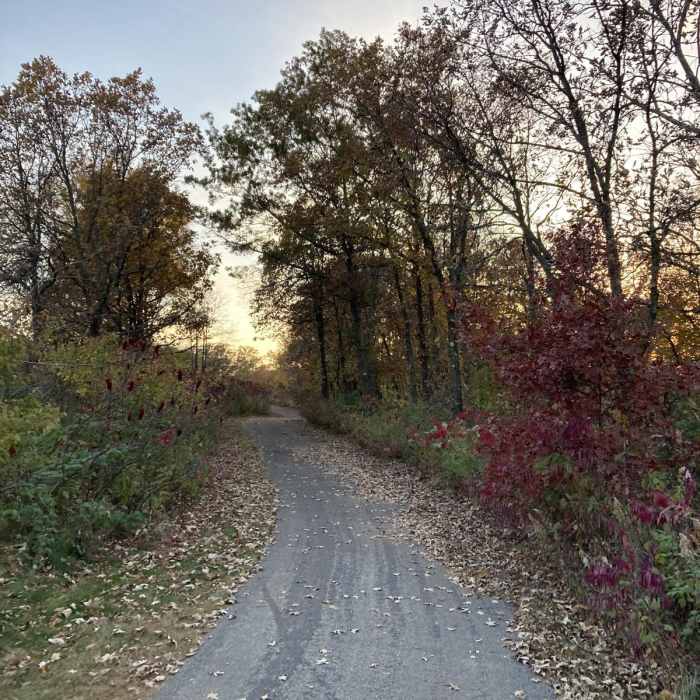 Near Chester Lake Trail Near Chester Lake Trail