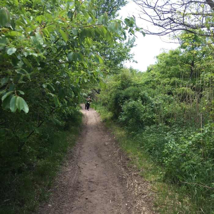 Near Marine Park: West Loop