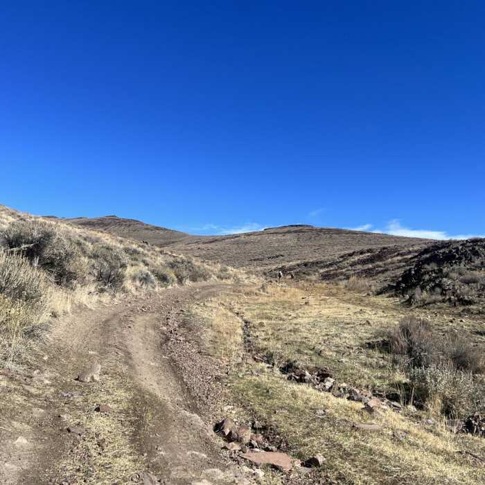 Near Nouque Ranch Road