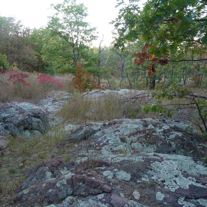 Near Ozark Trail: Taum Sauk Section