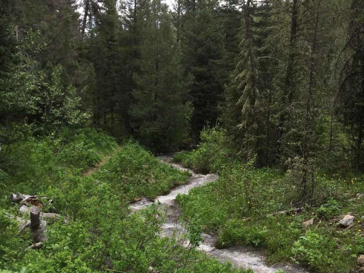 Muddy Creek to Where Stuff Gets Real photo 3