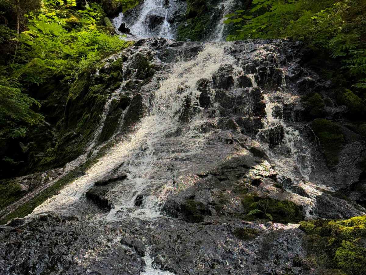 Big Creek Trail 252 photo 5