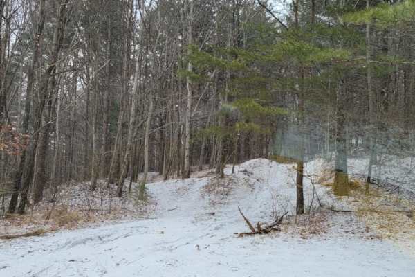 Tray Mountain Trail