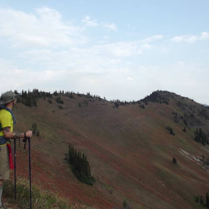 Near North Catherine Creek Trail + Cartwheel Ridge Loop
