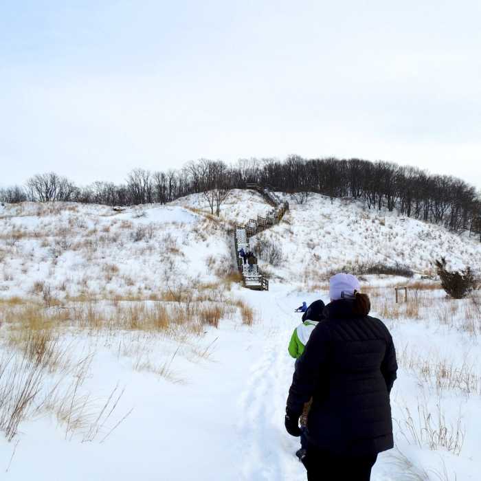 Approach the stairs on the Dune Succession Trail. Near West Beach Trail