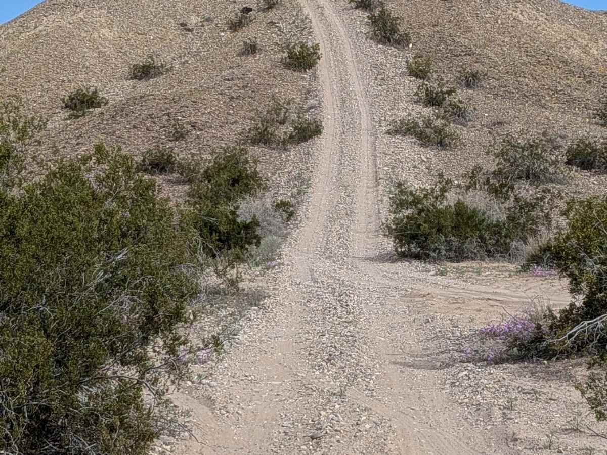 EC1328 trail photo