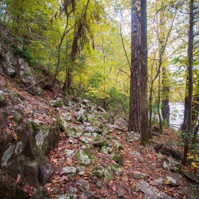 Near Lower Haw River State Natural Area