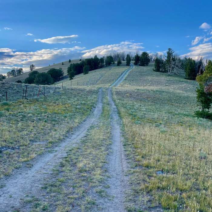Near Continental Divide Trail: Montana-Idaho Section 8