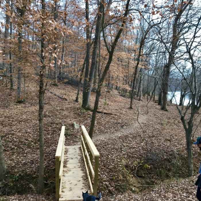 Near Haw River Trail: Saxapahaw Section
