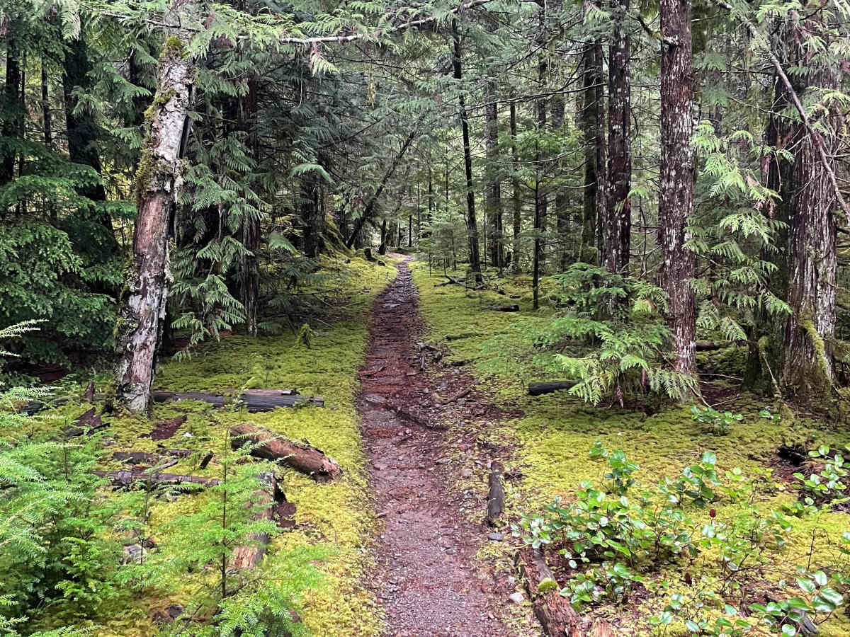 Lava Ridge 1 trail photo