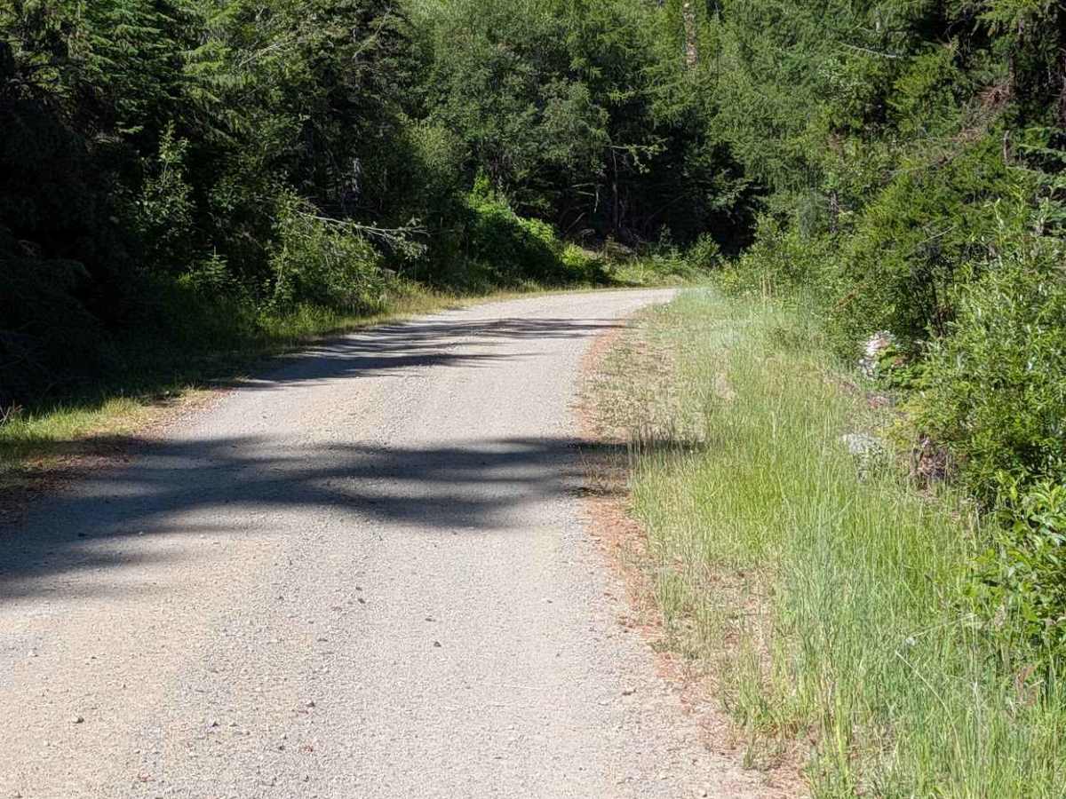 Bald Butte Rd photo 4