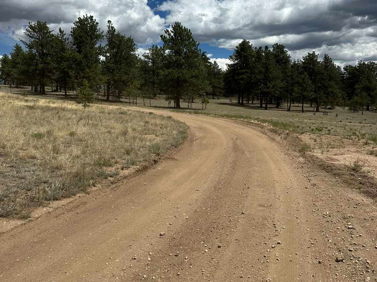 Althea Road trail photo