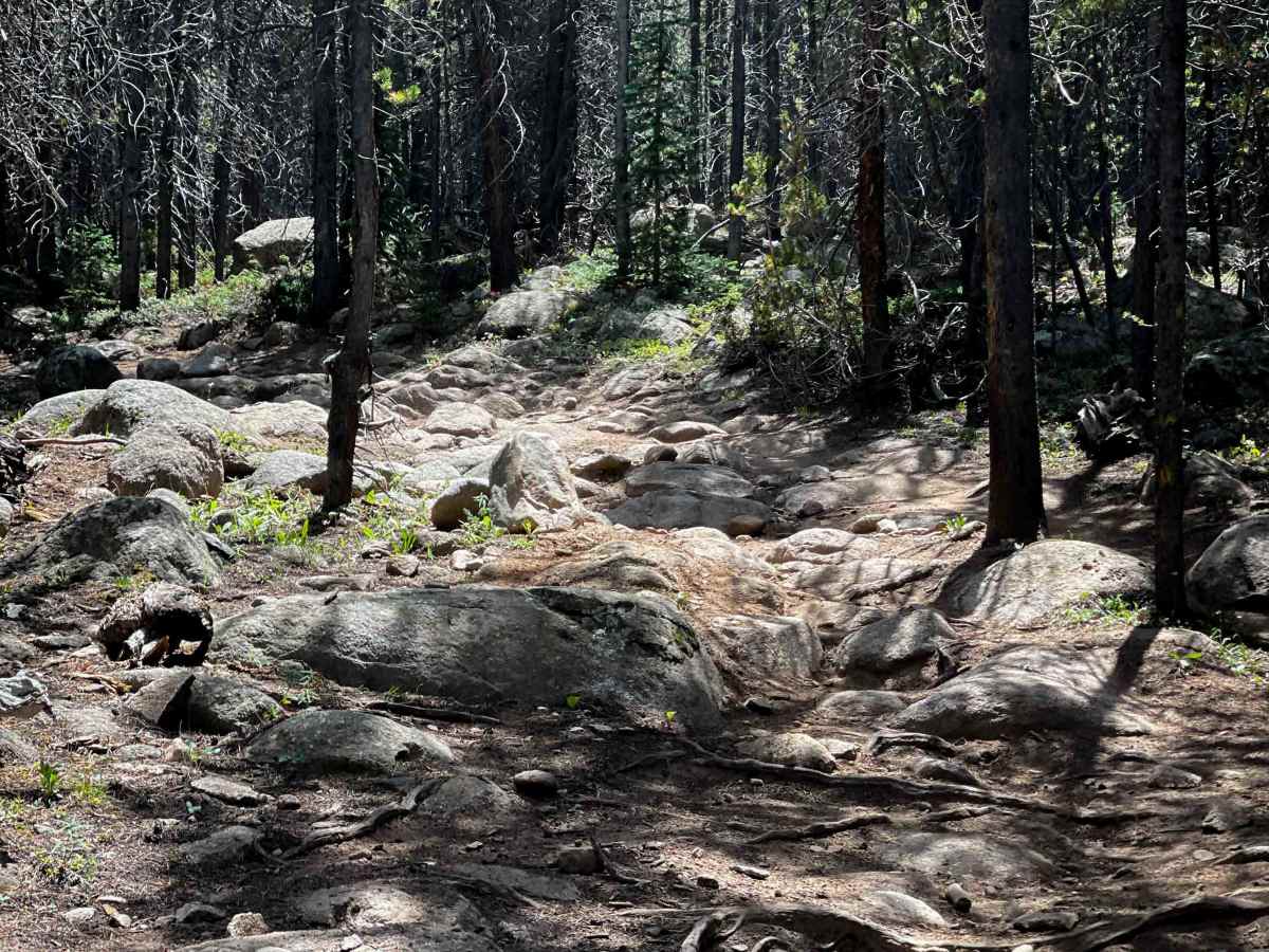 Lily Pond Trail photo 2