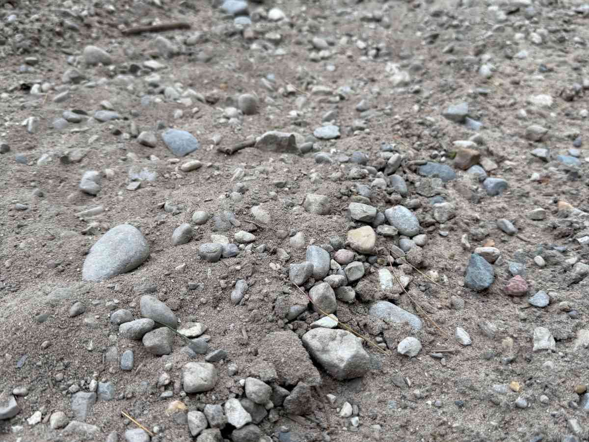 LP 55 Trail photo 2