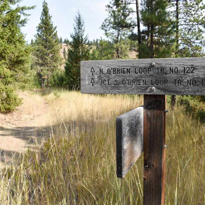 Near North O'Brien Creek Loop