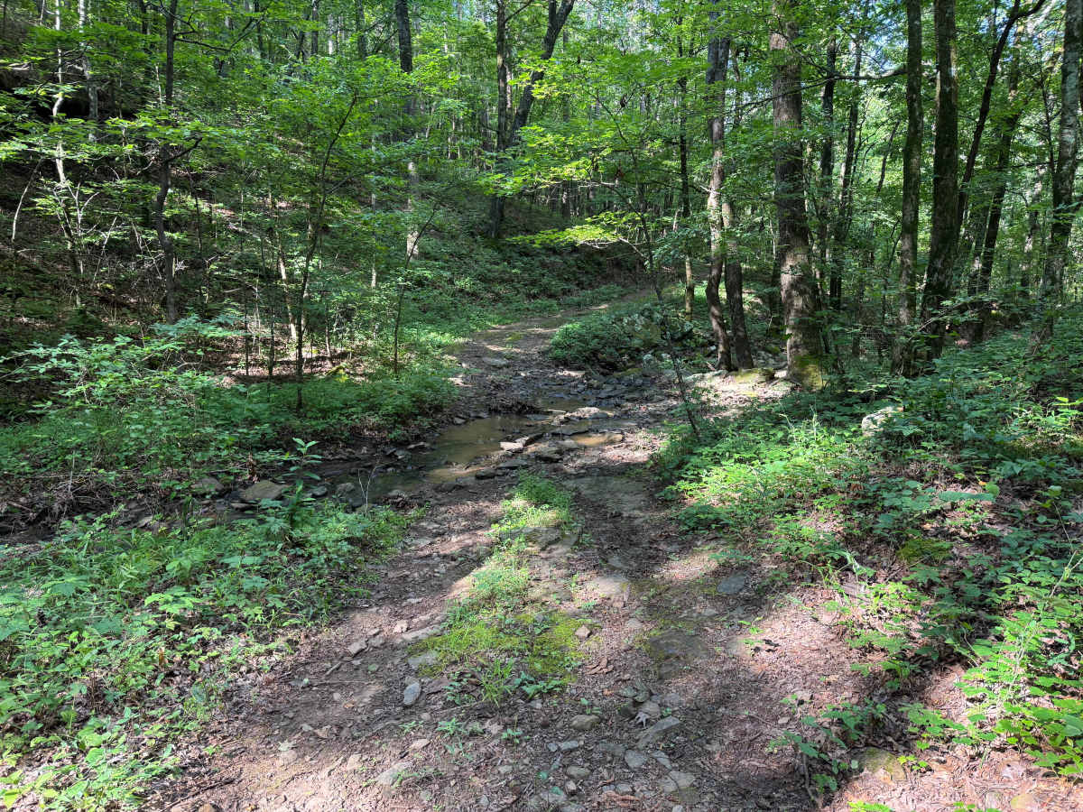 Minnow Creek photo 4