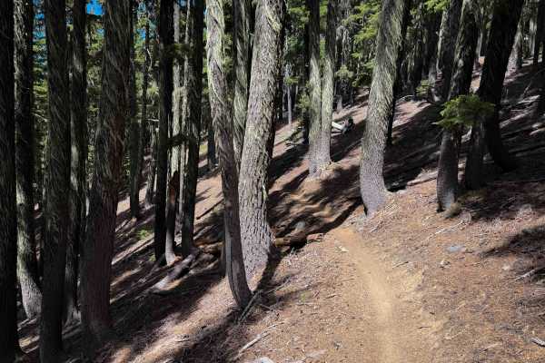 Windy Pass