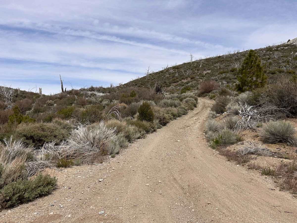 Prospector's Cutoff photo 6