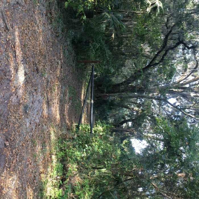 Second entrance to the trails. Near Cedar Point Route