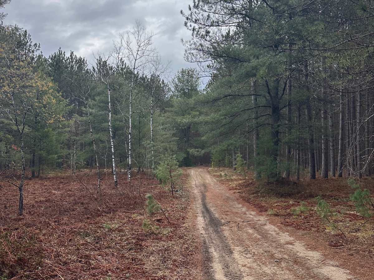 Hayesego Trail photo 2