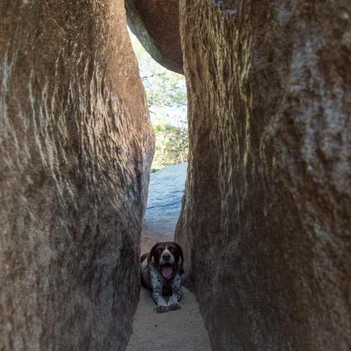 Near Fat Man's Pass via National Trail