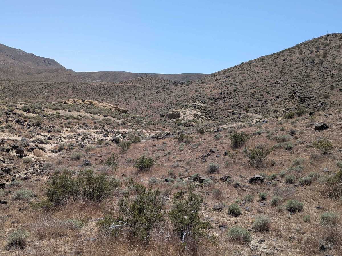Mesquite Canyon North photo 3