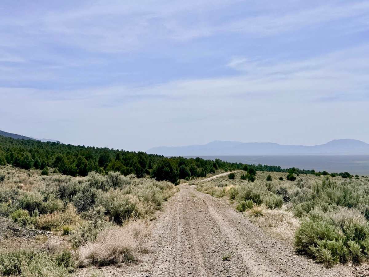 Dry Canyon Alternate - FS 43231 photo 4