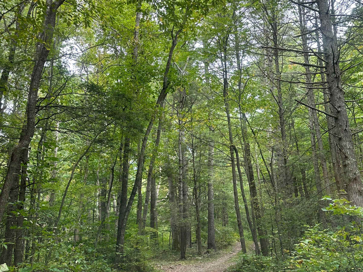 Kephart Run photo 2
