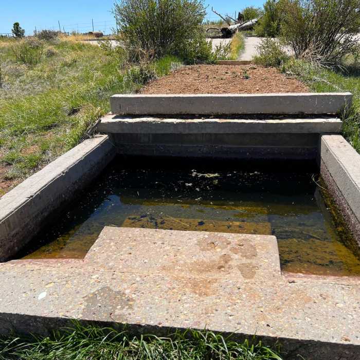 Near Arizona Trail Passage 41: Kaibab Plateau Central