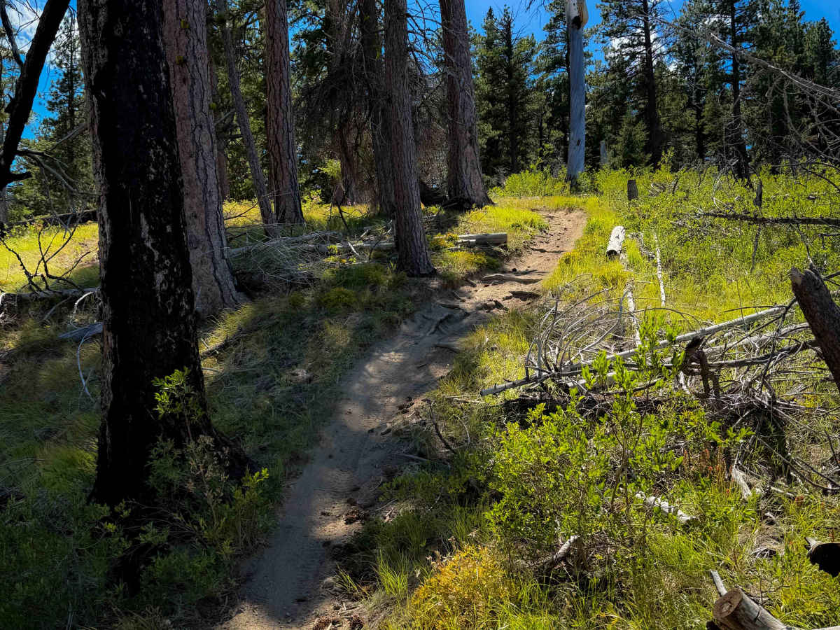Upper Mission Ridge 1201.1 photo 6
