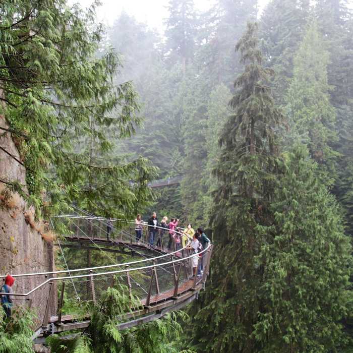 Near Capilano Canyon from Cleveland Dam