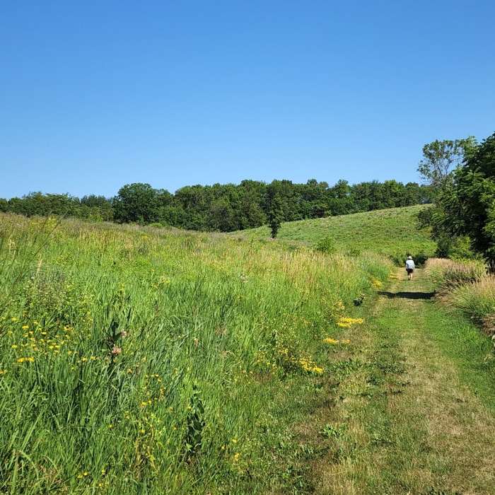 Going north toward Lake 2 Near Carver Park (West) Loop