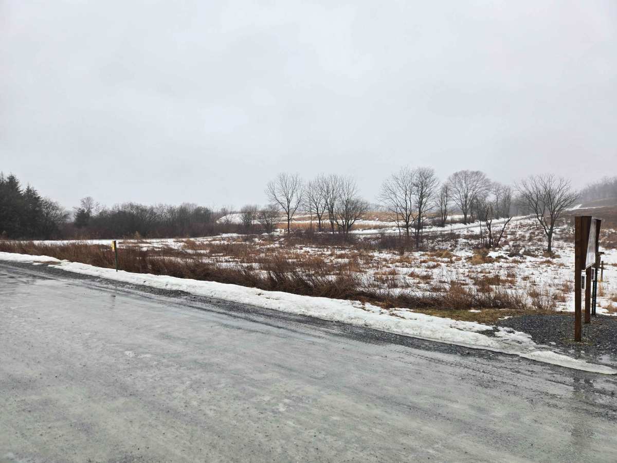 Warden Road photo 4