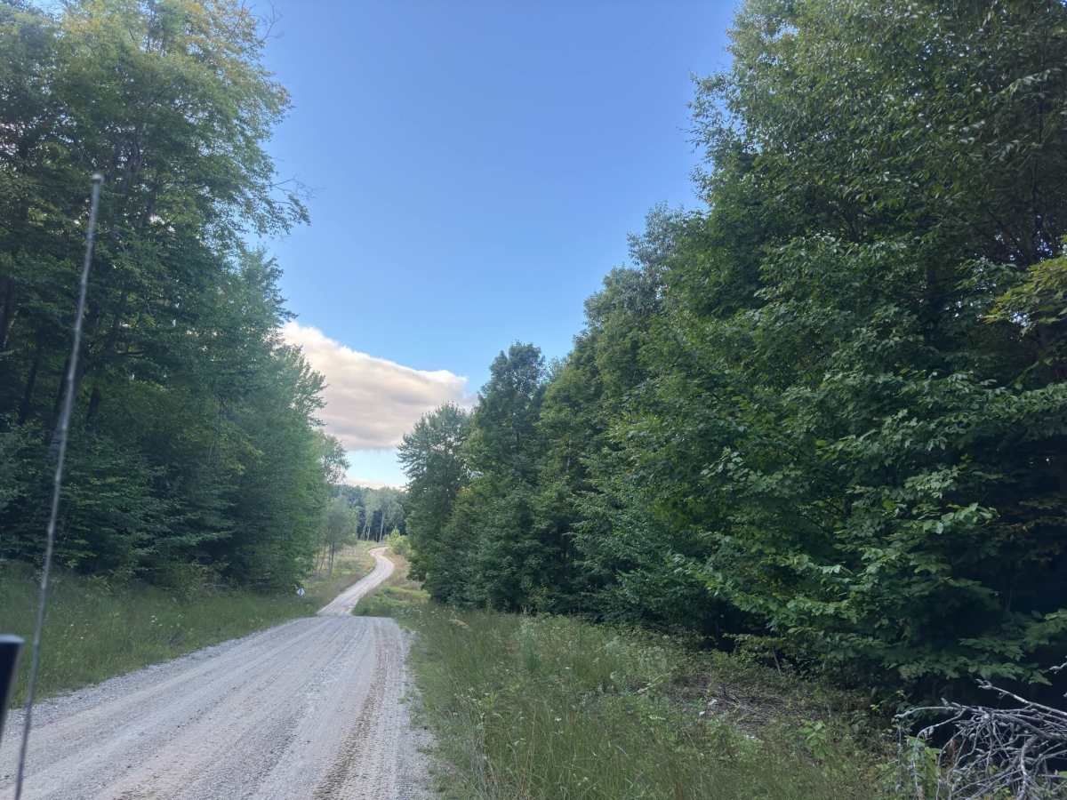 FS 5036 trail photo