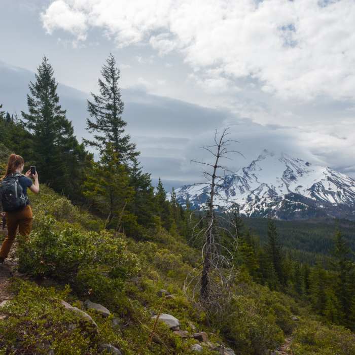 Near Bear Point Trail #3342