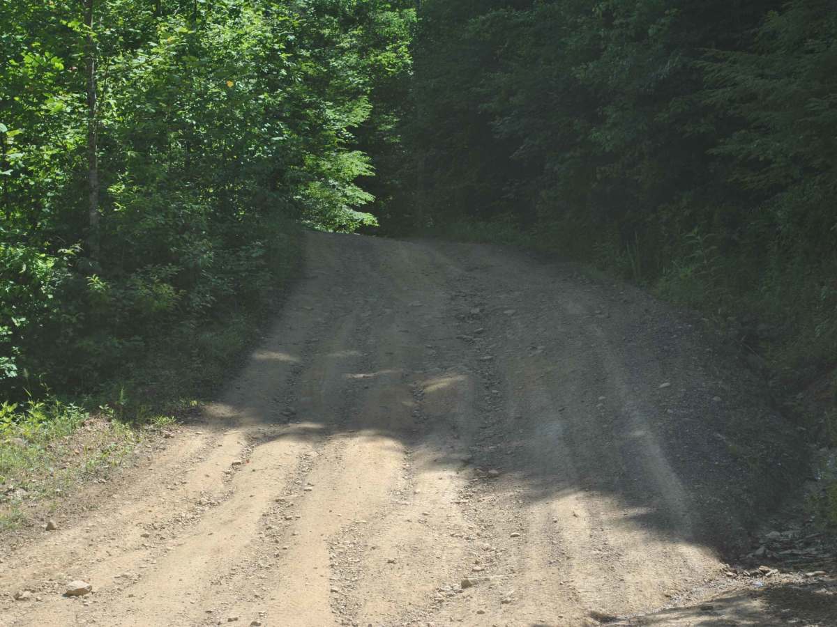 21 photo 5
