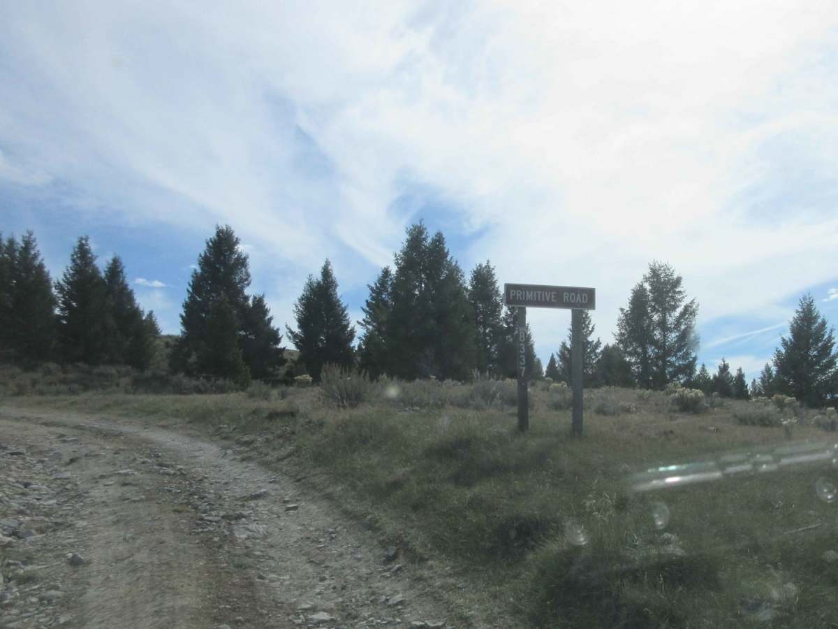 Cottonwood Creek - FS8337 trail photo